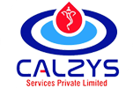 calzys-logo